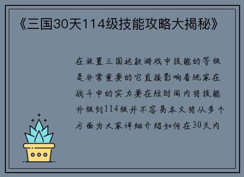 《三国30天114级技能攻略大揭秘》